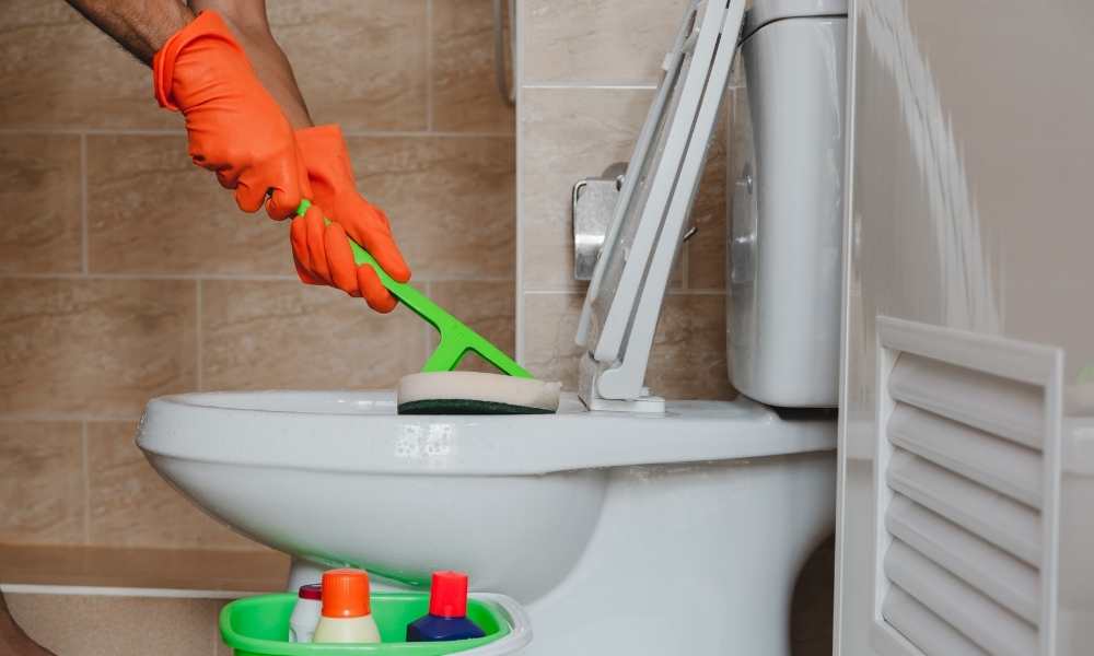 How To Clean Toilet Brush Holder