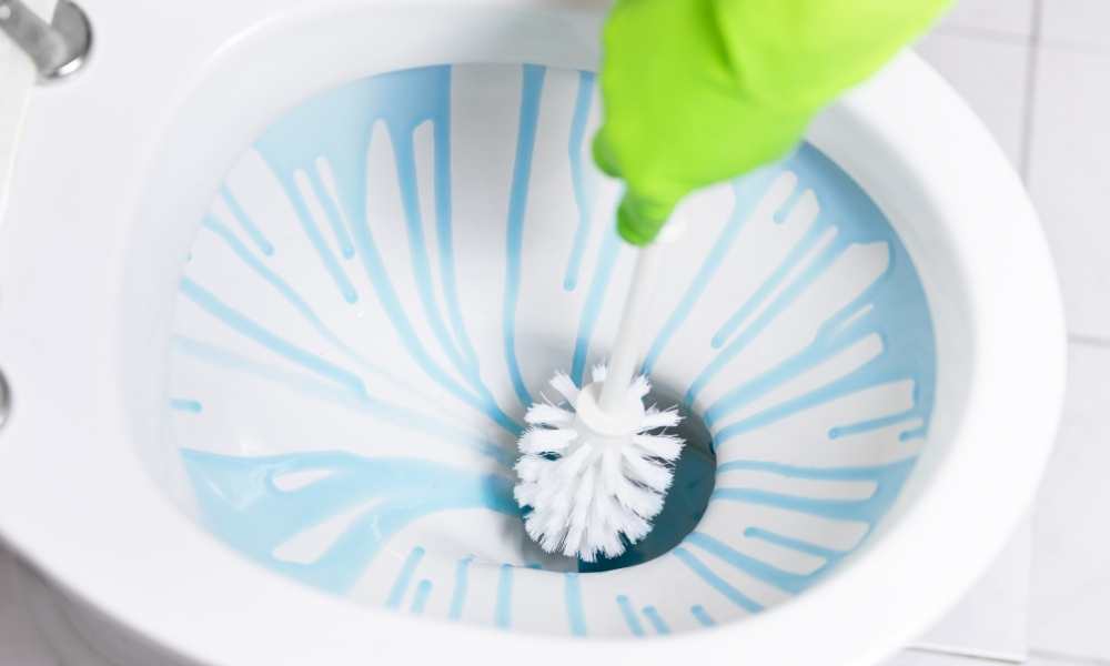 Why Should You Clean The Toilet Brush Holder?