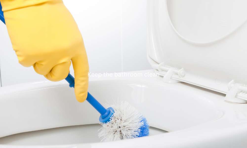 8 Pest Control Ideas for the Summer Keep the bathroom clean